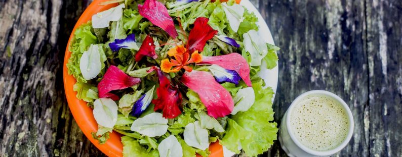 garden-salad-scaled-1